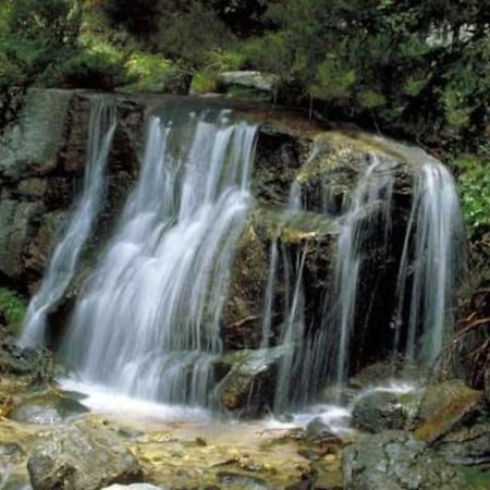 La Candela Cercedilla Εξωτερικό φωτογραφία